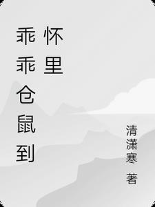 乖乖仓鼠到怀里